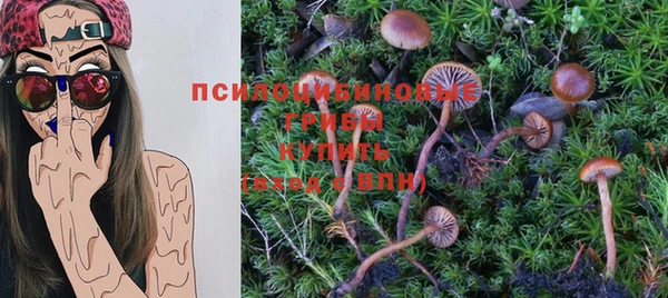 PSILOCYBIN Волосово