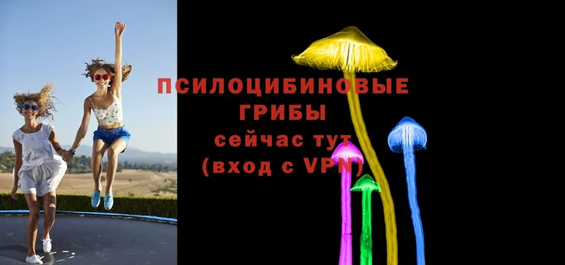 Галлюциногенные грибы Psilocybine cubensis Тобольск